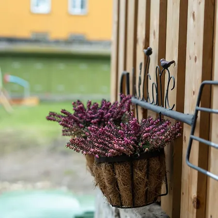 公寓 Garden Next To Telliskivi & Old Town 塔林