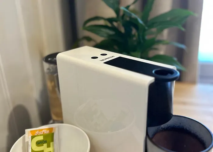 Garden Next To Telliskivi & Old Town